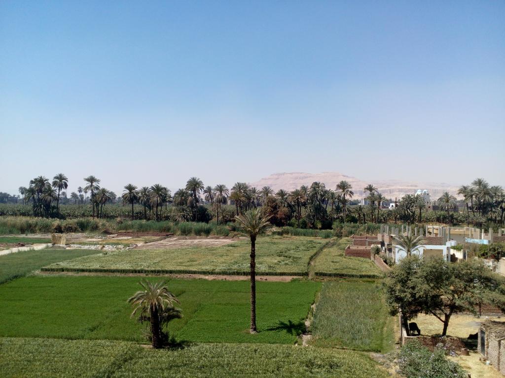 Luxor Palace Apartments Eksteriør billede